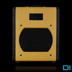 SWRT ATS ToneX Essential DI